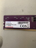 威剛（ADATA）16GB DDR5 5600 臺式機內存條 萬(wàn)紫千紅 曬單實(shí)拍圖