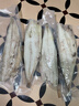 京覓/京東超市冷凍挪威青花魚(yú)700g/袋 帶皮去刺 燒烤 新老包裝交替 曬單實(shí)拍圖