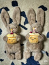 Jellycat害羞生日米色邦尼兔動(dòng)物毛絨玩偶安撫娃娃送禮生日禮物 害羞生日米色邦尼兔 Medium 曬單實(shí)拍圖