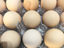 【無(wú)抗】大碼鮮雞蛋1.8kg 曬單實(shí)拍圖