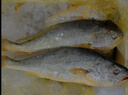 三都港 冷凍三去黃花魚(yú)700g/2條裝 大黃魚(yú) 生鮮 魚(yú)類(lèi) 深海魚(yú) 海鮮水產(chǎn) 曬單實(shí)拍圖