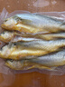 黃小漁寧德三去黃花魚(yú)600g/4條大黃魚(yú)生鮮海鮮水產(chǎn)深海魚(yú)類(lèi) 曬單實(shí)拍圖