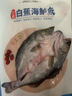 仙泉湖三去白蕉海鱸魚(yú)1斤/條凈膛刺少肉厚珠海特產(chǎn)500g海鮮水產(chǎn)生鮮食材 曬單實(shí)拍圖