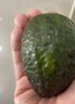 山姆大叔 金獎·哈斯牛油果【閃送】智利鱷梨非即食新鮮牛油果水果禮盒裝 【80%選擇】精品果丨約100-130g 6枚【熱銷(xiāo)* 超值推薦】普裝 曬單實(shí)拍圖