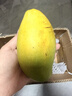 玖原農珍 海南當季大青皮金煌甜心芒果含箱5斤凈果4.5斤200-350g 生鮮水果 曬單實(shí)拍圖