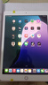 小米 華為 聯(lián)想小新 Oppo 三星 一加 拯救者  蘋(píng)果 Apple iPad 百元 千元 學(xué)生 網(wǎng)課 二手平板電腦 蘋(píng)果 曬單實(shí)拍圖