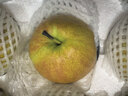 梨貢士山西隰縣玉露香梨隰縣9顆特大果（約8斤） 臨汾館隰縣小西天禮物 曬單實(shí)拍圖