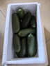 京鮮生 山東瑪莎水果小黃瓜 凈重3斤單果50g+新鮮蔬菜減脂健身 源頭直發(fā) 曬單實(shí)拍圖