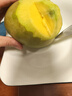 玖原農珍 海南大青皮金煌甜心芒當季優(yōu)選芒果 生鮮水果新鮮現摘芒果 含箱5斤凈果4.5斤優(yōu)選果 曬單實(shí)拍圖