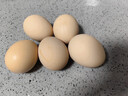 山林新鮮雞蛋當日現撿鮮雞蛋生鮮京東超市單枚40g左右 當日現撿新鮮土雞蛋8枚 曬單實(shí)拍圖