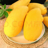 余悅海南金煌芒 【多地次日達】新鮮現摘水仙大芒果青皮甜心芒果整箱 帶箱5斤【精選好果丨單果300-350g】?jì)?.5斤 曬單實(shí)拍圖