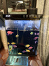 京東京造智能生態(tài)魚(yú)缸PRO家用免換水全自動(dòng)循環(huán)投喂過(guò)濾一體缸桌面魚(yú)缸黑 曬單實(shí)拍圖