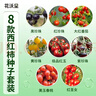 花沃里8款西紅柿種子大全 蔬菜種子陽(yáng)臺花盆栽小番茄黑鉆石紫珍珠大番茄 曬單實(shí)拍圖
