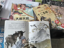 兒童繪本中國經(jīng)典故事書(shū)（全20冊）曹沖稱(chēng)象 愚公移山 精衛填海 猴子撈月 十二生肖3-6歲幼兒神話(huà)成語(yǔ)寓言啟蒙書(shū)有聲伴讀培養孩子品格 曬單實(shí)拍圖