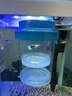宜品達懸浮式孔雀魚(yú)繁殖盒魚(yú)缸隔離盒魚(yú)苗母魚(yú)斗魚(yú)熱帶魚(yú)孵化產(chǎn)房孵化器 藍色【小號套裝】 【漂浮式繁殖隔離盒-高清透亮】 曬單實(shí)拍圖