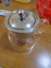 金灶（KAMJOVE）泡茶壺飄逸杯 耐熱玻璃茶具功夫辦公室花茶壺 茶水分離杯茶壺家用 A-02 500ml 曬單實(shí)拍圖