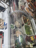 楊子之星臺式階梯冷藏展示柜夜市三輪車(chē)炸串鹵菜涼菜商用燒烤熟食甜品烤肉串串冷藏保鮮水果撈移動(dòng)擺攤冰柜 118*60*47.5小雙層（冷藏鍍膜防霧款） 直冷鍍膜防霧款 曬單實(shí)拍圖