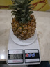 廣東湛江徐聞菠蘿 香水菠蘿 熱帶水果 1個(gè)裝大果 凈重1.5-2斤 曬單實(shí)拍圖