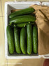 京鮮生 山東精品嫩水果黃瓜 凈重4斤 單根70g+ 荷蘭小青瓜 源頭直發(fā) 曬單實(shí)拍圖