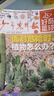 歷史喵雜志組合自選 共12個(gè)月訂閱 歷史啟蒙培養 青少年課外閱讀 6-12歲少兒閱讀興趣漫畫(huà)讀物 【送12本小創(chuàng  )客】歷史喵+好奇星球26年1月起訂 曬單實(shí)拍圖