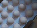 山春牧場(chǎng)圣迪樂(lè )出品鮮雞蛋谷物喂養雞蛋營(yíng)養早餐蛋 無(wú)沙門(mén)氏菌鮮雞蛋30枚/1.35kg 曬單實(shí)拍圖