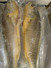 鮮京采冷凍三去黃花魚(yú)(寧德大黃魚(yú))1700g(5條裝)禮盒 曬單實(shí)拍圖