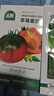 北蔬草莓番茄種子種苗水果鐵皮西紅柿子蔬菜種籽 草莓番茄種子50粒 曬單實(shí)拍圖