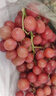 京鮮生 智利進(jìn)口無(wú)籽紅提 克倫生葡萄提子 900g裝 新鮮生鮮水果 曬單實(shí)拍圖