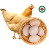 初土記 有機原種土雞蛋30枚凈重2.1斤 五谷喂養鮮雞蛋禮盒 原產(chǎn)地直發(fā) 曬單實(shí)拍圖