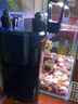 AMTRA TECHNIK德國安彩壁掛過(guò)濾器ex350小型魚(yú)缸過(guò)濾器烏龜缸壁掛式凈水 EX350 標準版【內含濾材】 曬單實(shí)拍圖