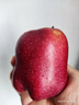 京鮮生 甘肅天水花牛蘋(píng)果 又大又紅 凈重4斤 單果160g起 生鮮水果 曬單實(shí)拍圖