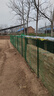 荷蘭網(wǎng)鐵絲網(wǎng)圍欄批發(fā)鐵網(wǎng)養殖網(wǎng)養雞網(wǎng)柵欄護欄網(wǎng)子防護網(wǎng)鋼絲網(wǎng) 1.5米高15米3厘米孔2.0毫米_草綠色軟塑層 曬單實(shí)拍圖