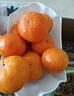 正宗廣西砂糖橘沙糖桔新鮮水果當季蜜桔桂林橘子貢柑整箱 帶箱1斤 小果（30-40mm） 曬單實(shí)拍圖