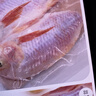 仙泉湖三去星洲紅1斤單條凈膛后冷凍羅非魚(yú)刺少海鮮水產(chǎn)生鮮食材 曬單實(shí)拍圖