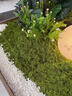 仿真苔蘚草皮盆景盆栽造景花盆鋪面草微景觀(guān)布置擺件草坪庭院裝飾 苔蘚草皮 深綠色50厘米×1米 曬單實(shí)拍圖