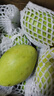 庾豐 越南應季新鮮芒果 整箱當季現摘孕婦熱帶水果大青 皮玉芒 10斤裝（凈果9斤）單果250g+ 曬單實(shí)拍圖