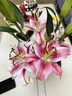 百合鮮切花云南基地現采現發(fā)真花瓶插水養38女神婦女節1 隨機香水百合6-8朵 曬單實(shí)拍圖