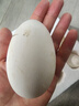 百世富澤（BAISHIFUZE）【百世富澤】黃河灘大鵝蛋新鮮正宗土鵝蛋農家自養孕婦超大鵝蛋 12枚115-130克 曬單實(shí)拍圖