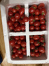 廣西露天圣女果櫻桃小番茄即食水果西紅柿新鮮蔬菜應季整箱批發(fā)價(jià) 帶箱5斤 4.5斤 凈重 曬單實(shí)拍圖