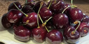 少羽車(chē)厘子櫻桃【順豐/JD-多地次日達】大連美早大櫻桃新鮮水果送禮物 2斤(凈重) 【特惠裝暢吃】 品質(zhì)大果 J 26-28mm【新鮮上市】 曬單實(shí)拍圖