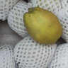 京鮮生 新疆庫爾勒香梨 凈重10斤 特級 單果120g+ 生鮮水果 曬單實(shí)拍圖