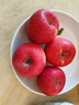 甘肅靜寧紅富士蘋(píng)果脆甜多汁當季采摘新鮮水果 凈重8.5斤 小果70-75mm 曬單實(shí)拍圖