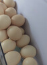 溫氏供港鮮雞蛋40枚/4斤家庭裝 谷物喂養 無(wú)抗生素  牛奶早餐生鮮食材 曬單實(shí)拍圖