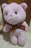 可愛(ài)呆萌泰迪熊毛絨玩具連體熊公仔小熊玩具學(xué)生小禮品鑰匙扣掛件 粉色1個(gè) 曬單實(shí)拍圖