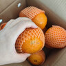 京覓秭歸臍橙紐荷爾橙子凈重7斤霸王橙單果230g+新鮮水果源頭直發(fā)包郵 曬單實(shí)拍圖
