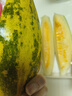 哈密瓜曉蜜25號西洲蜜新鮮甜瓜現摘整箱產(chǎn)地直發(fā) 1.5-2斤 曬單實(shí)拍圖