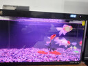 森森金麟超白智能魚(yú)缸小型桌面免換水生態(tài)魚(yú)缸一體缸自循環(huán) 【升級自動(dòng)喂食】480B 純黑尊享版+加熱棒 曬單實(shí)拍圖