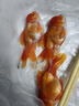 精品金魚(yú)觀(guān)賞魚(yú)自來(lái)水養不死鴻運當頭好養耐活魚(yú)冷水招財魚(yú)風(fēng)水魚(yú) 精品隨機國獅 7-9厘米3條 曬單實(shí)拍圖