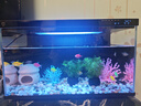 米家小米米家智能生態(tài)魚(yú)缸還原自然生態(tài)補倉一次三月無(wú)憂(yōu)出差旅行必備 曬單實(shí)拍圖