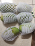 玖原農珍 海南當季大青皮金煌甜心芒果含箱5斤凈果4.5斤200-350g 生鮮水果 曬單實(shí)拍圖